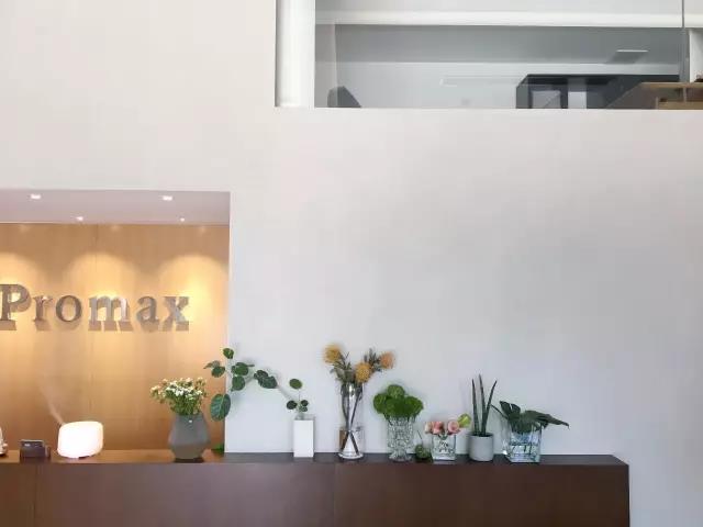Promax 高端美容会所